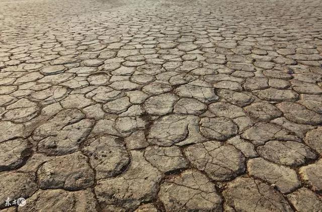 等科学家把地球的水抽干后,人们更加知道水资源的珍贵