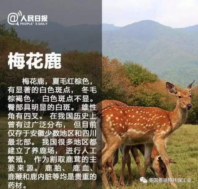 微信图片_20170415073427.jpg 微信图片_20170415073427.jpg